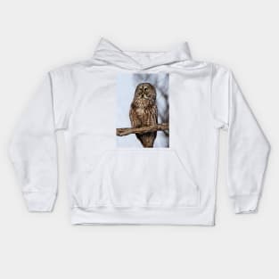 Great Grey Owl Kids Hoodie